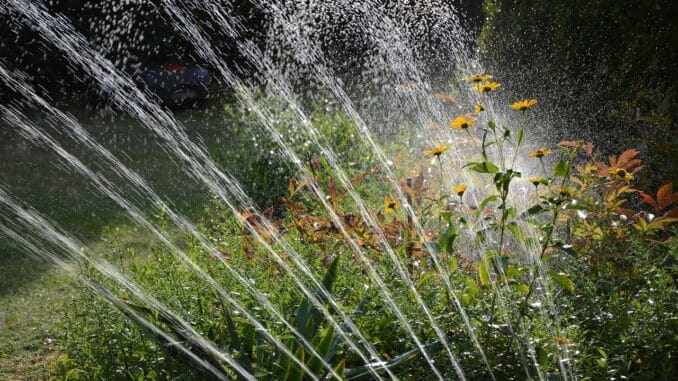 Garten richtig bewässern